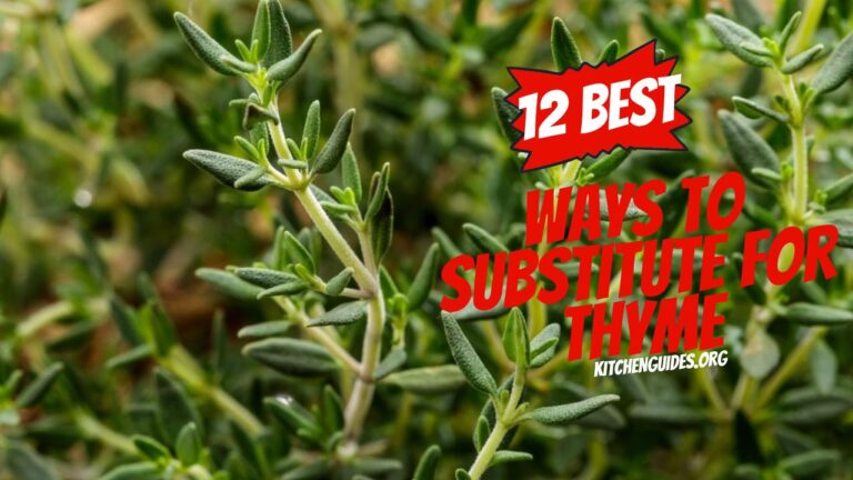 12 Best Ways to Substitute for Thyme