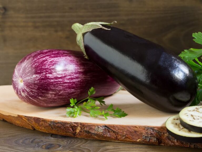 Can You Freeze Eggplant