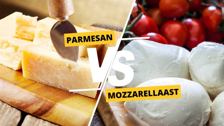 Parmesan vs Mozzarella