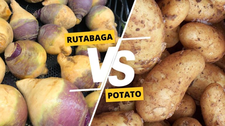 Rutabaga vs Potato