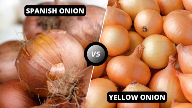 Spanish Onion vs. Yellow Onion